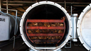 paqui distillation process