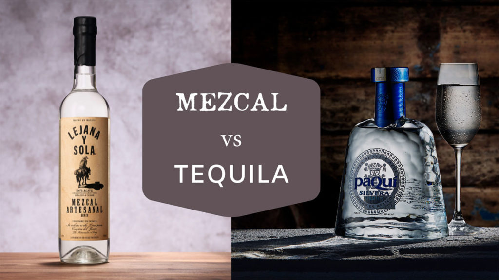Mezcal vs Tequila: Answering Your Most Popular Questions · PaQuí Tequila